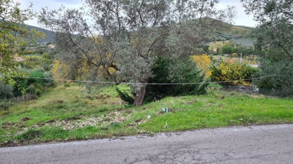 terreno agricolo in vendita a Montecorice