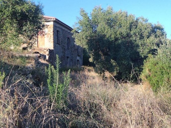 terreno agricolo in vendita a Montecorice in zona Cosentini