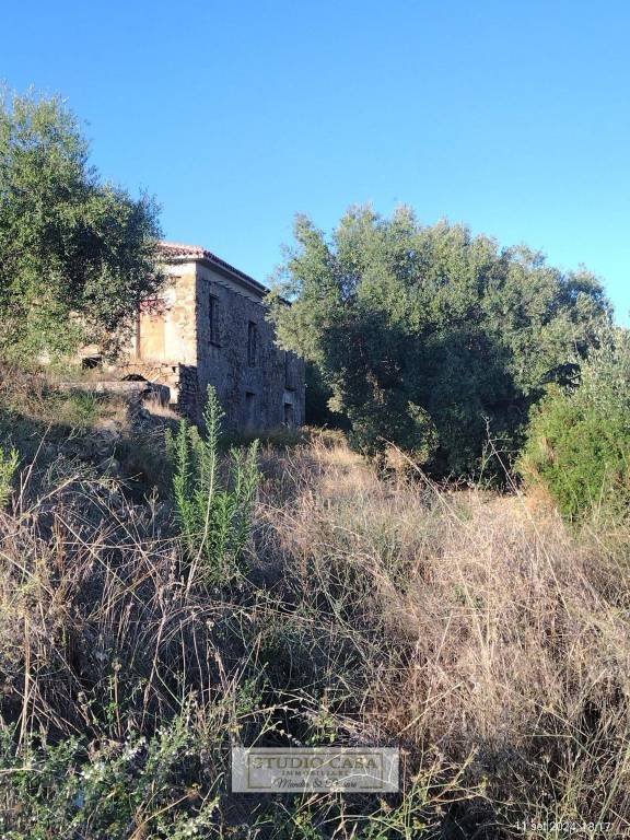 terreno agricolo in vendita a Montecorice in zona Cosentini