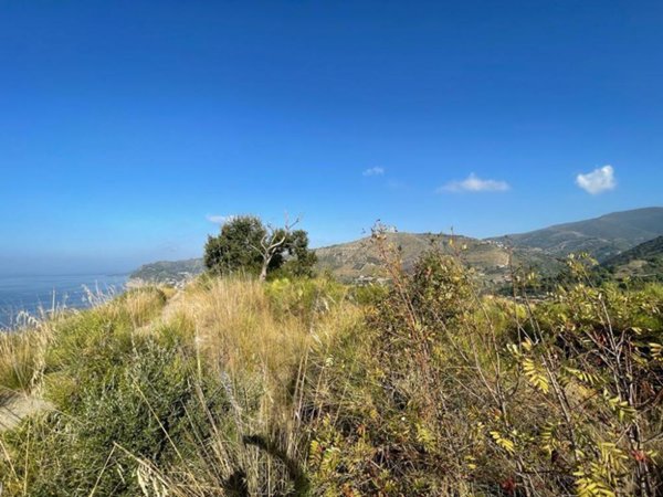 casa indipendente in vendita a Montecorice in zona Agnone