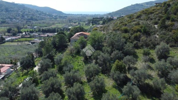 casa indipendente in vendita a Montecorice