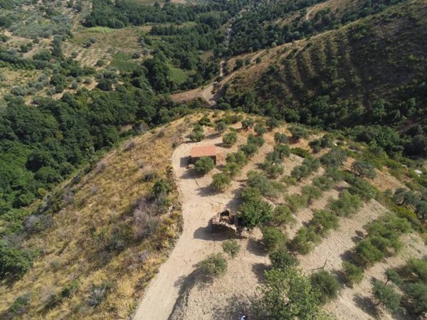 casa indipendente in vendita a Montecorice