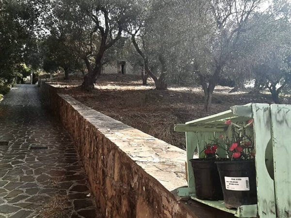 appartamento in vendita a Montecorice in zona Agnone