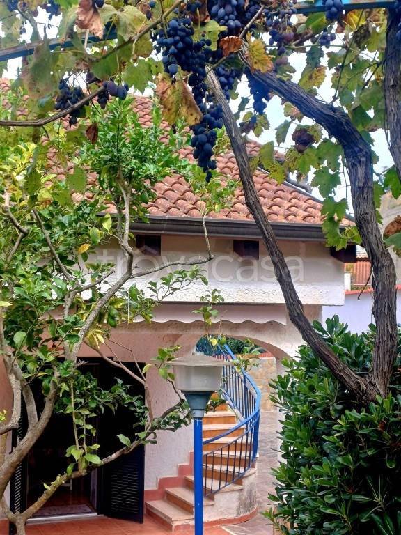 casa indipendente in vendita a Montecorice in zona Case del Conte