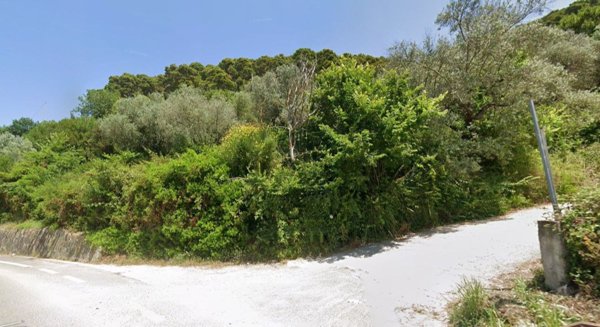 terreno agricolo in vendita a Montecorice