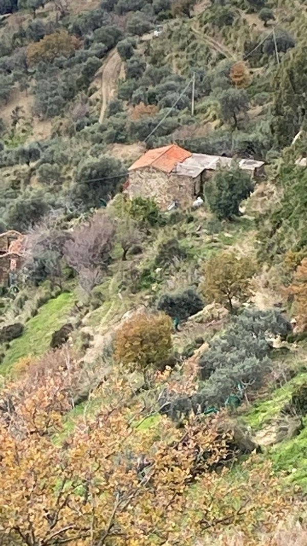 quadrivano in vendita a Montecorice