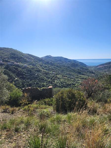 terreno agricolo in vendita a Montecorice