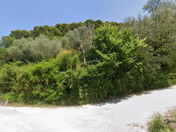 terreno agricolo in vendita a Montecorice