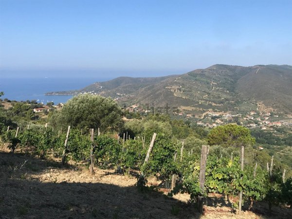 terreno edificabile in vendita a Montecorice