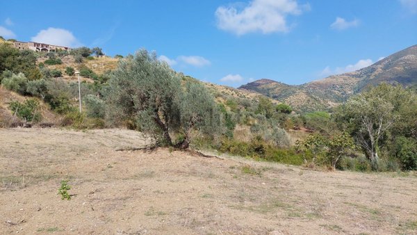terreno agricolo in vendita a Montecorice