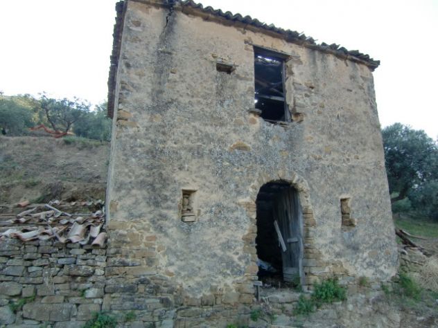 terreno agricolo in vendita a Montecorice