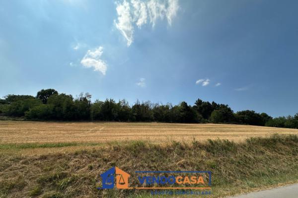 terreno edificabile in vendita a Cherasco in zona Cappellazzo