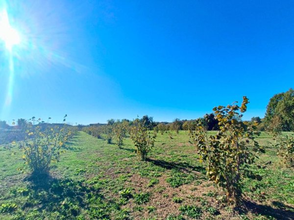terreno edificabile in vendita a Cherasco in zona San Giovanni