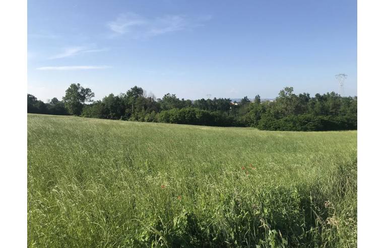 terreno agricolo in vendita a Cherasco in zona San Giovanni
