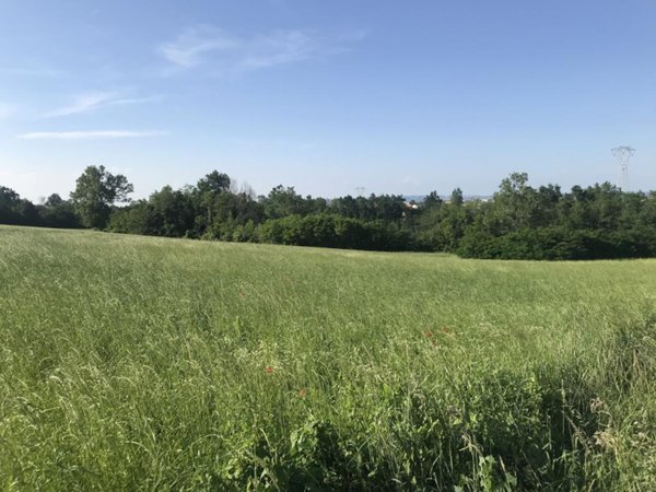terreno agricolo in vendita a Cherasco in zona San Giovanni