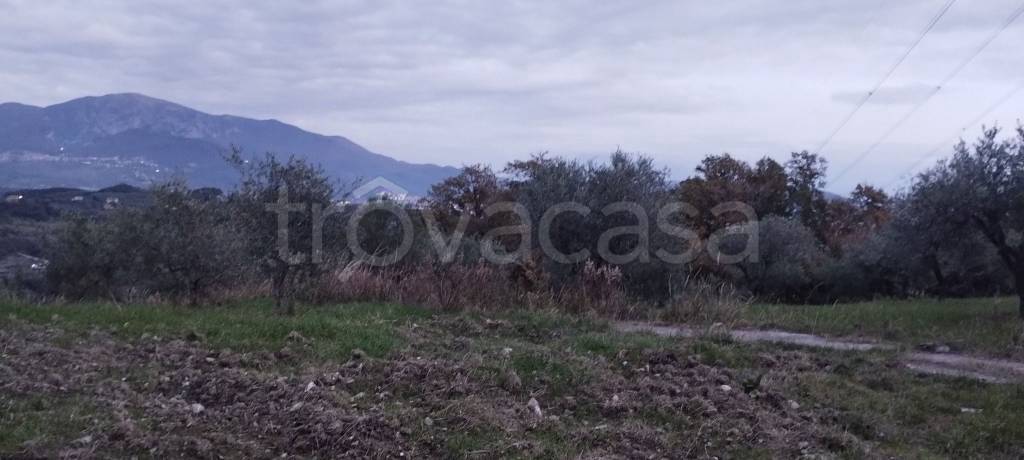 terreno edificabile in vendita a Montecorvino Pugliano