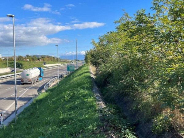 terreno agricolo in vendita a Montecorvino Pugliano in zona Pagliarone