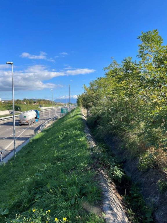 terreno agricolo in vendita a Montecorvino Pugliano in zona Pagliarone
