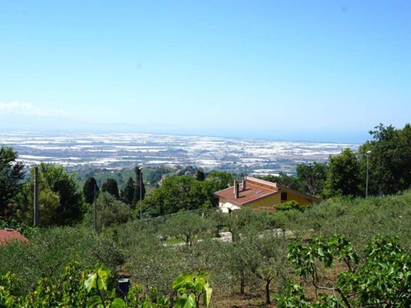 terreno agricolo in vendita a Montecorvino Pugliano
