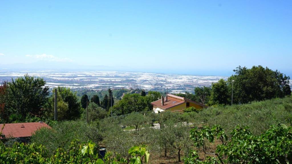 terreno agricolo in vendita a Montecorvino Pugliano
