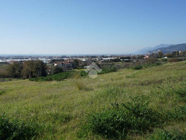 terreno agricolo in vendita a Montecorvino Pugliano in zona Pugliano