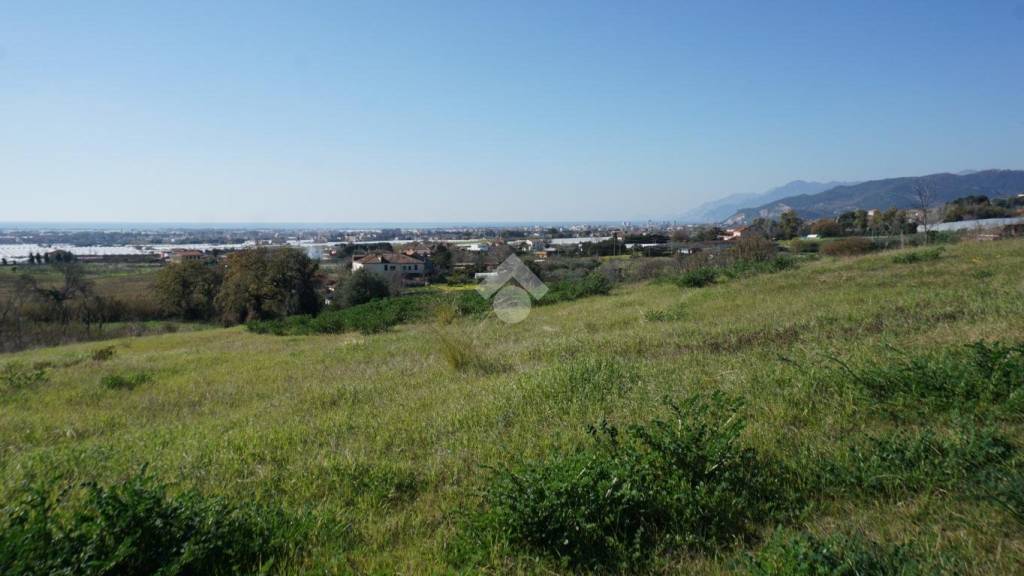 terreno agricolo in vendita a Montecorvino Pugliano in zona Pugliano