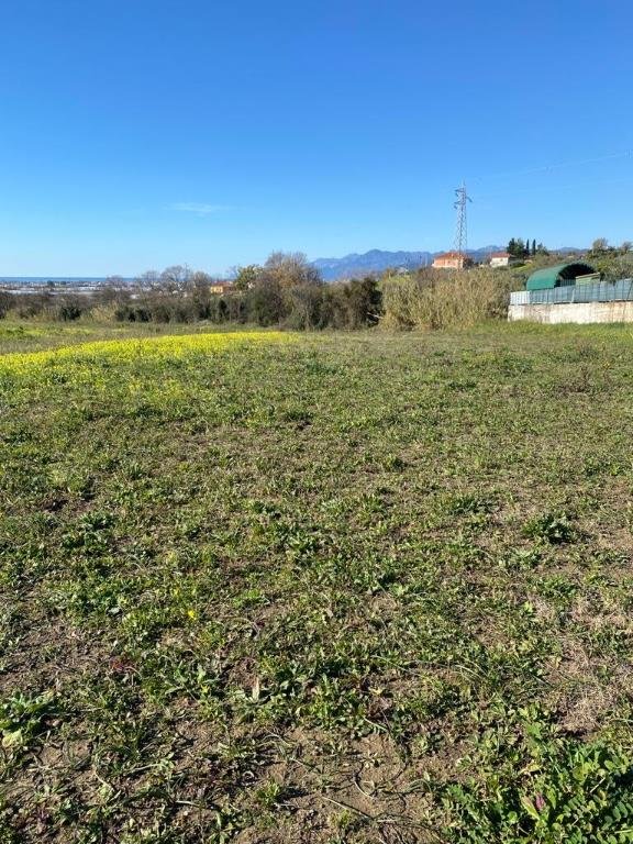 terreno agricolo in vendita a Montecorvino Pugliano in zona San Vito