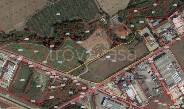 terreno agricolo in vendita a Montecorvino Pugliano