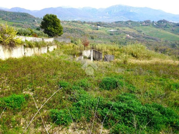 terreno agricolo in vendita a Montecorvino Pugliano