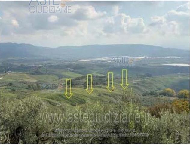 terreno agricolo in vendita a Montecorvino Pugliano