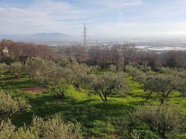 terreno edificabile in vendita a Montecorvino Pugliano in zona Santa Tecla