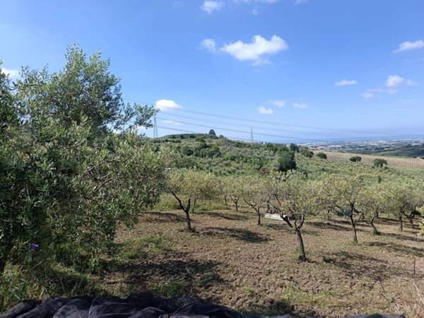 terreno agricolo in vendita a Montecorvino Pugliano