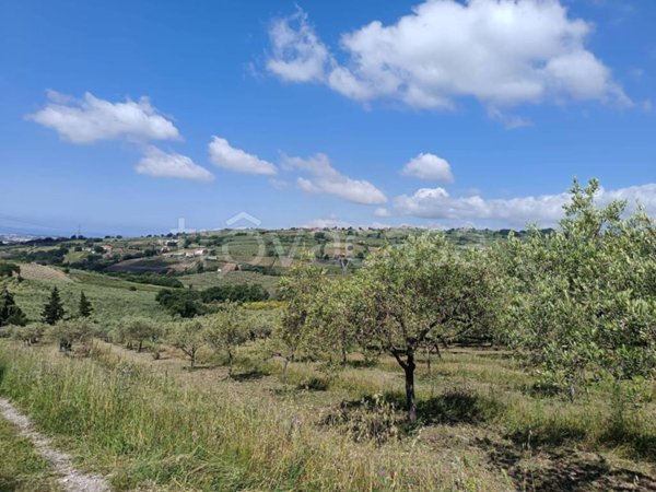 terreno agricolo in vendita a Montecorvino Pugliano