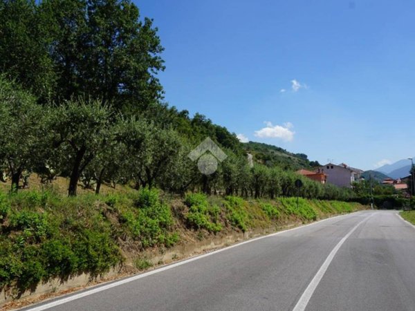 terreno agricolo in vendita a Montecorvino Pugliano