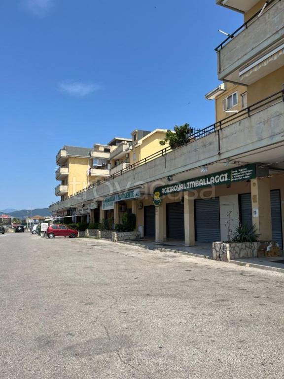 appartamento in vendita a Montecorvino Pugliano