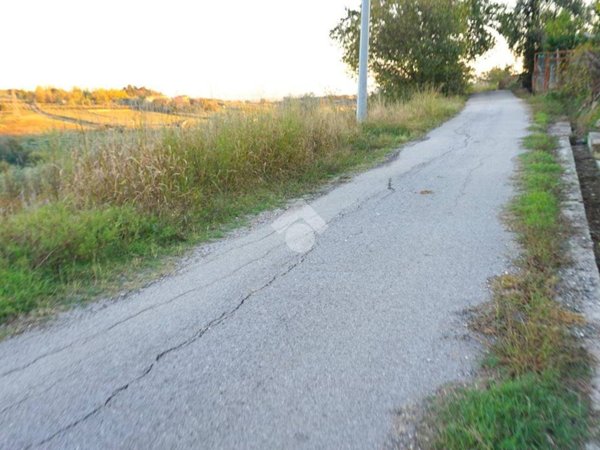 terreno agricolo in vendita a Montecorvino Pugliano