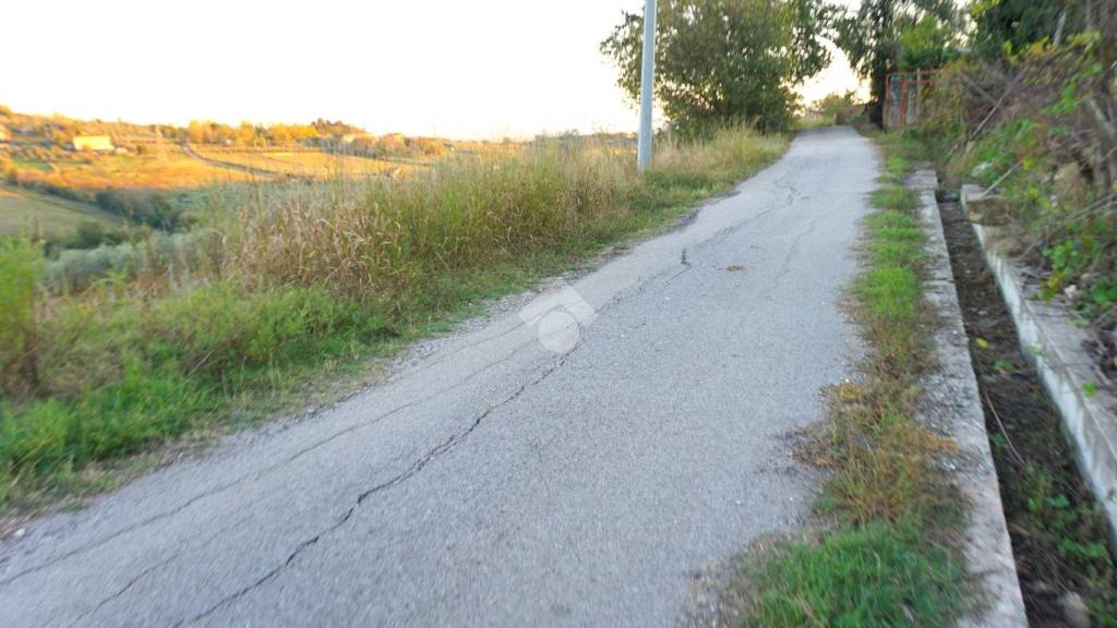 terreno agricolo in vendita a Montecorvino Pugliano in zona San Vito