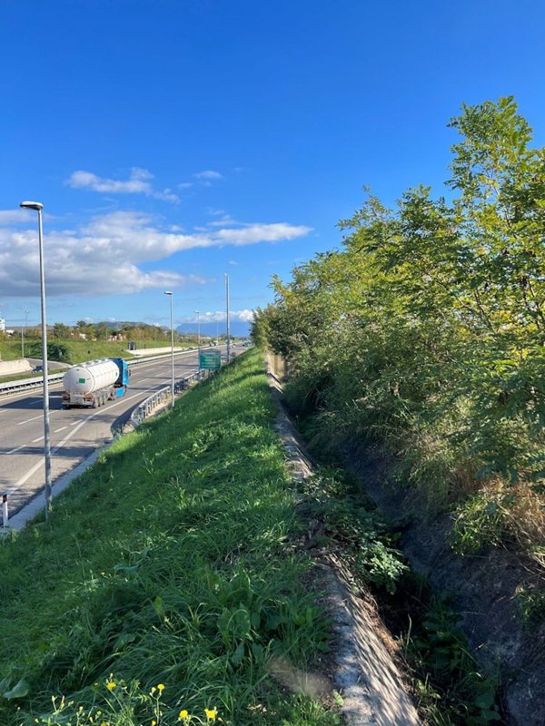 terreno edificabile in vendita a Montecorvino Pugliano in zona Pagliarone