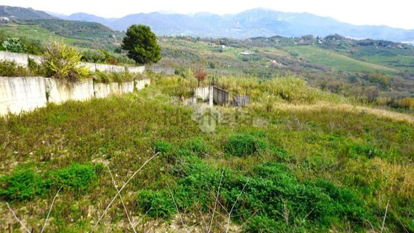 terreno agricolo in vendita a Montecorvino Pugliano