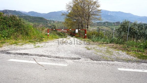 terreno agricolo in vendita a Montecorvino Pugliano