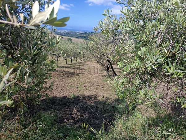 terreno agricolo in vendita a Montecorvino Pugliano