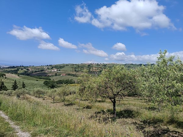 terreno agricolo in vendita a Montecorvino Pugliano