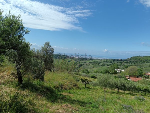 terreno agricolo in vendita a Montecorvino Pugliano