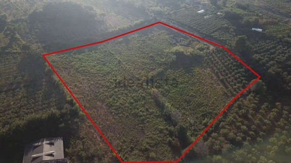 terreno agricolo in vendita a Montecorvino Pugliano in zona Santa Tecla