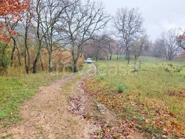 terreno agricolo in vendita a Montecorvino Pugliano