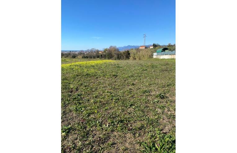 terreno agricolo in vendita a Montecorvino Pugliano in zona San Vito