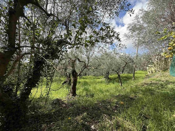 terreno edificabile in vendita a Montecorvino Pugliano in zona Santa Tecla