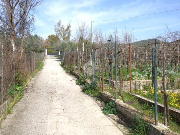 terreno agricolo in vendita a Montecorvino Pugliano in zona Santa Tecla