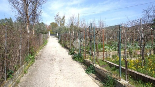 terreno agricolo in vendita a Montecorvino Pugliano in zona Santa Tecla