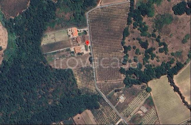 appartamento in vendita a Montecorvino Pugliano